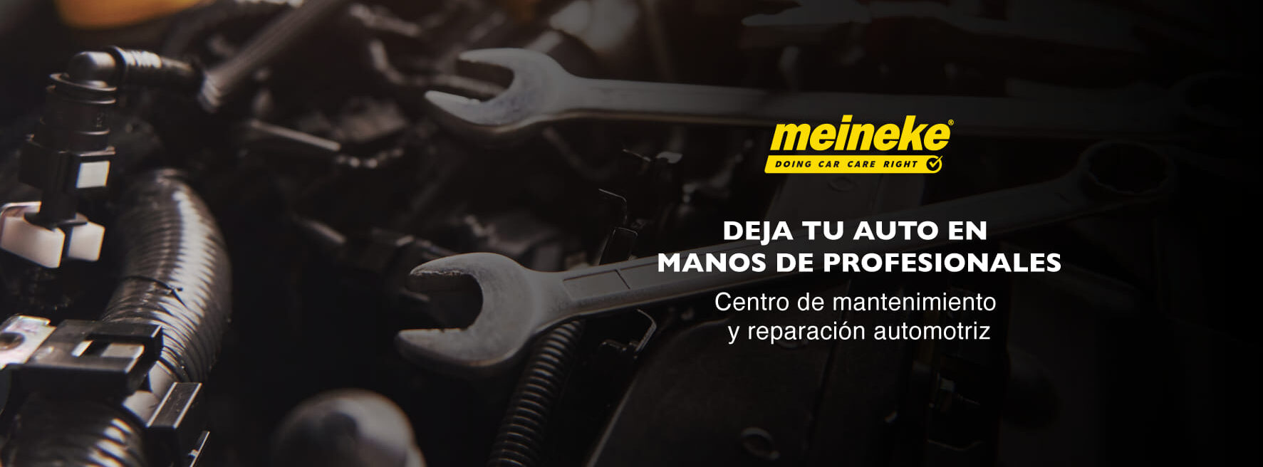 Foto de portada