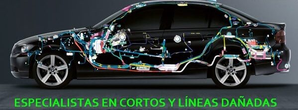 Foto de portada