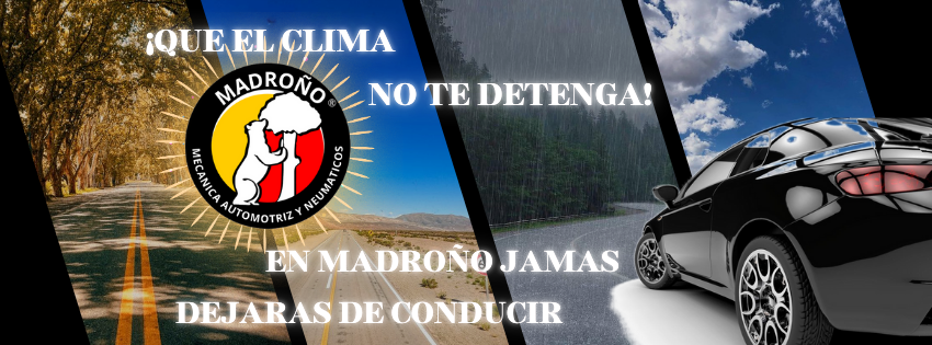 Foto de portada