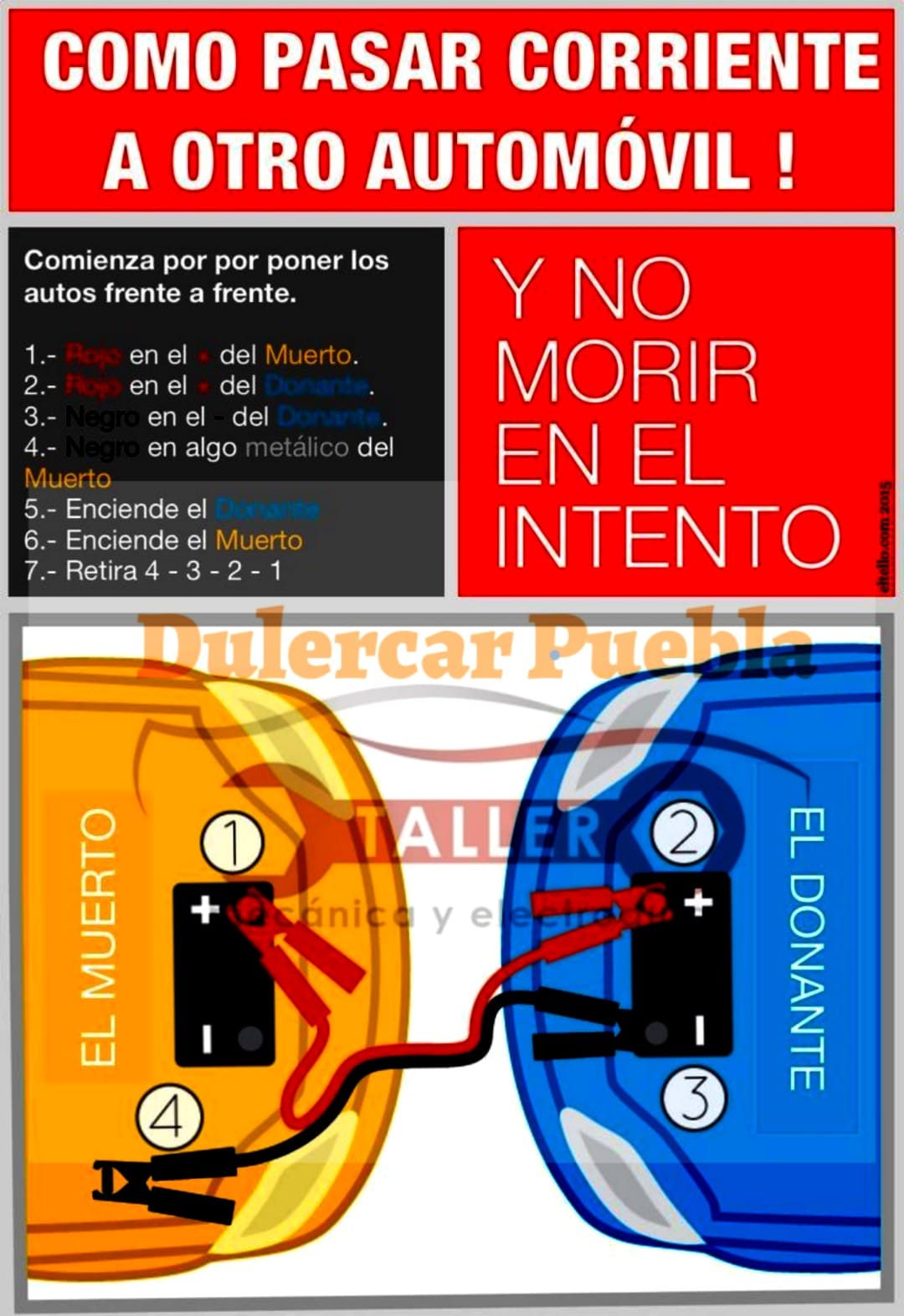 Taller Image 2