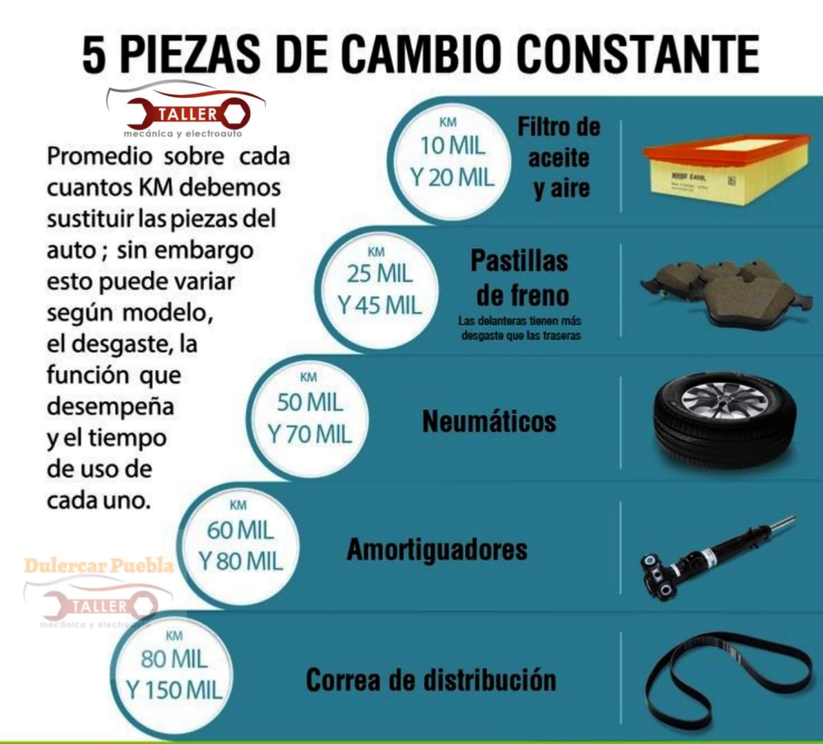 Taller Image 6