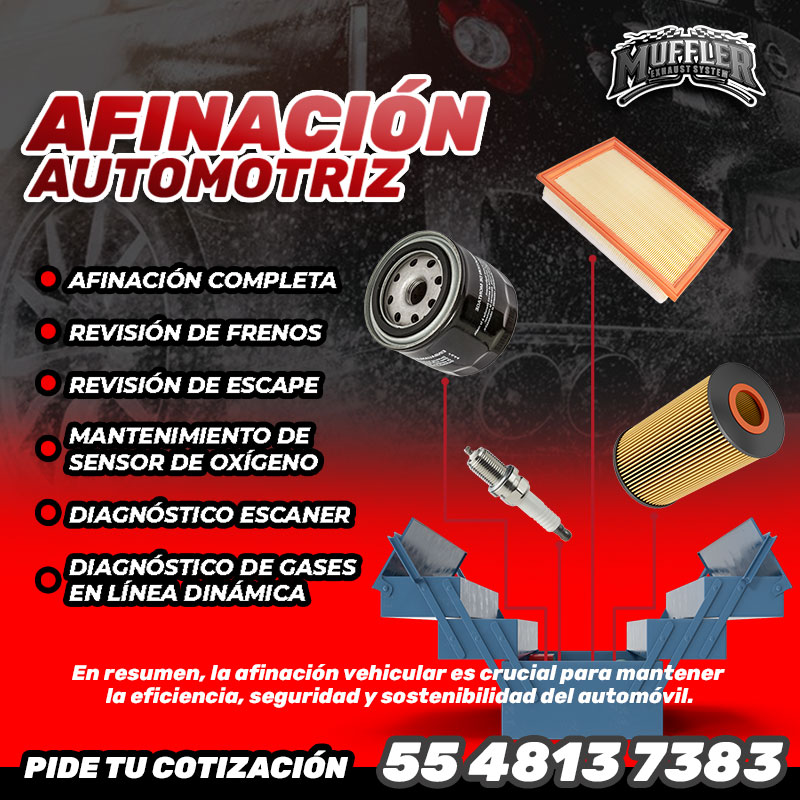 Taller Image 2