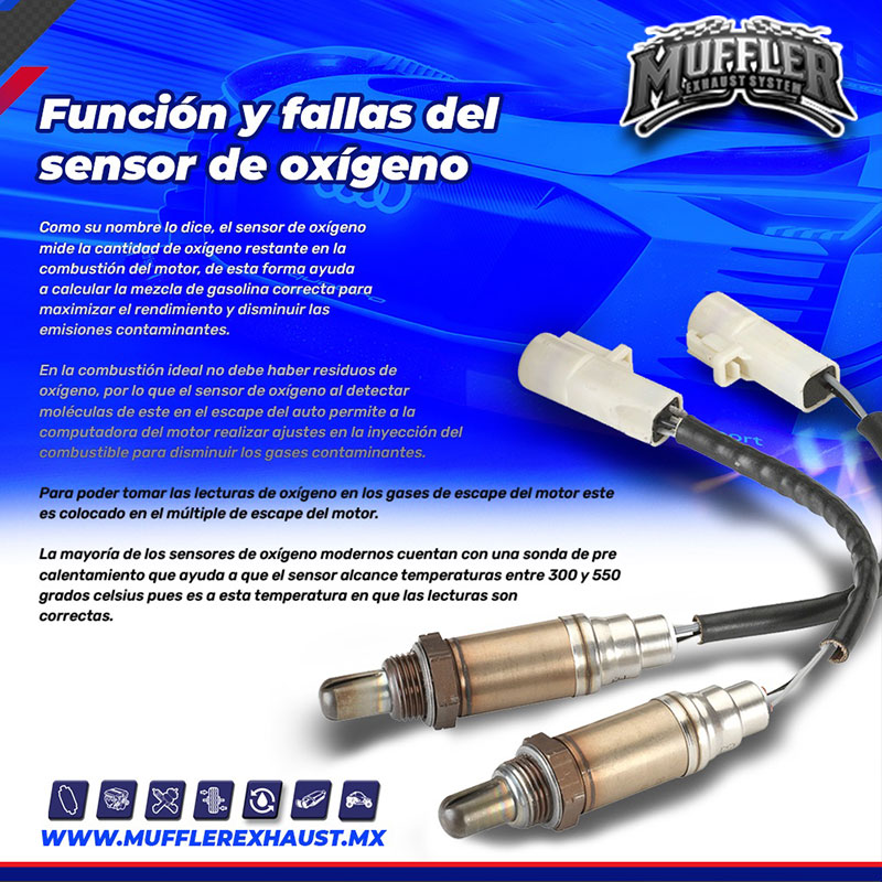 Taller Image 1