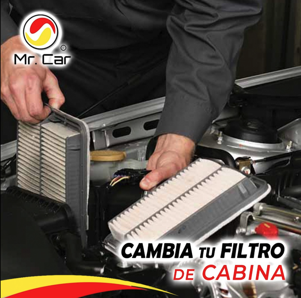 Taller Image 3