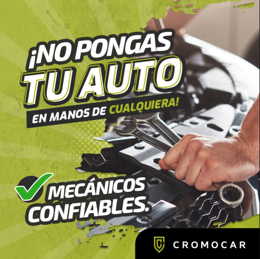 Taller Image 5