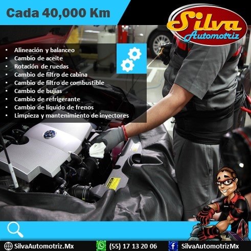 Taller Image 5