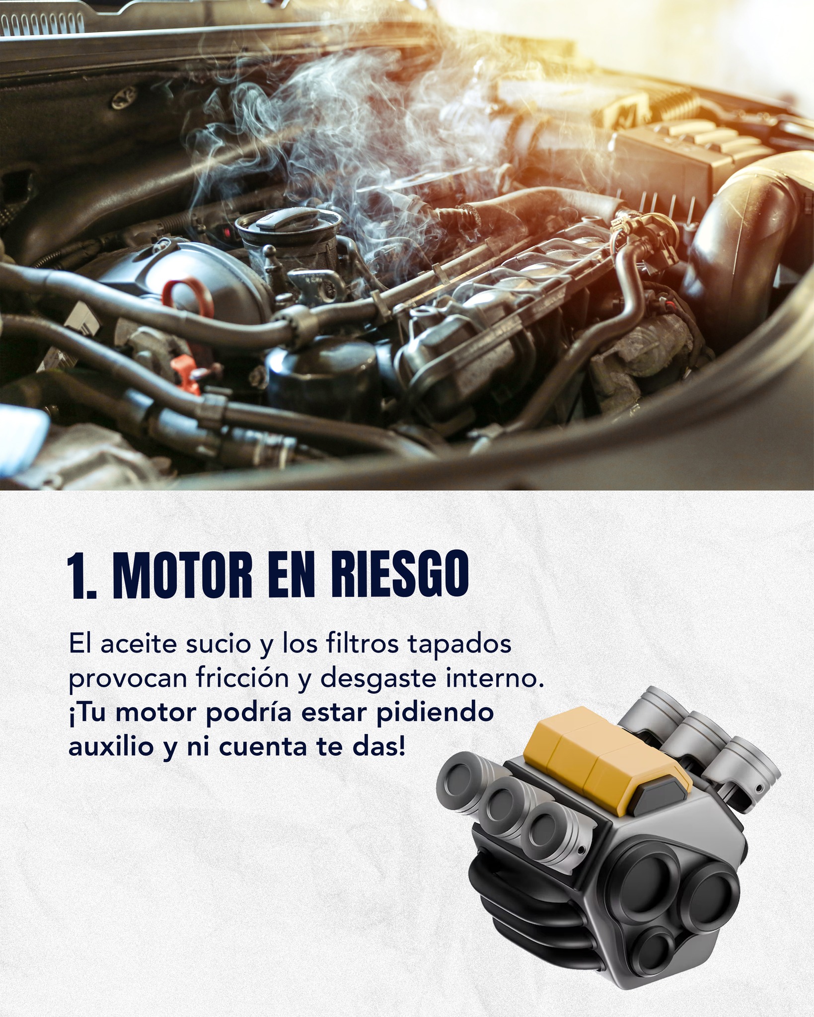 Taller Image 4