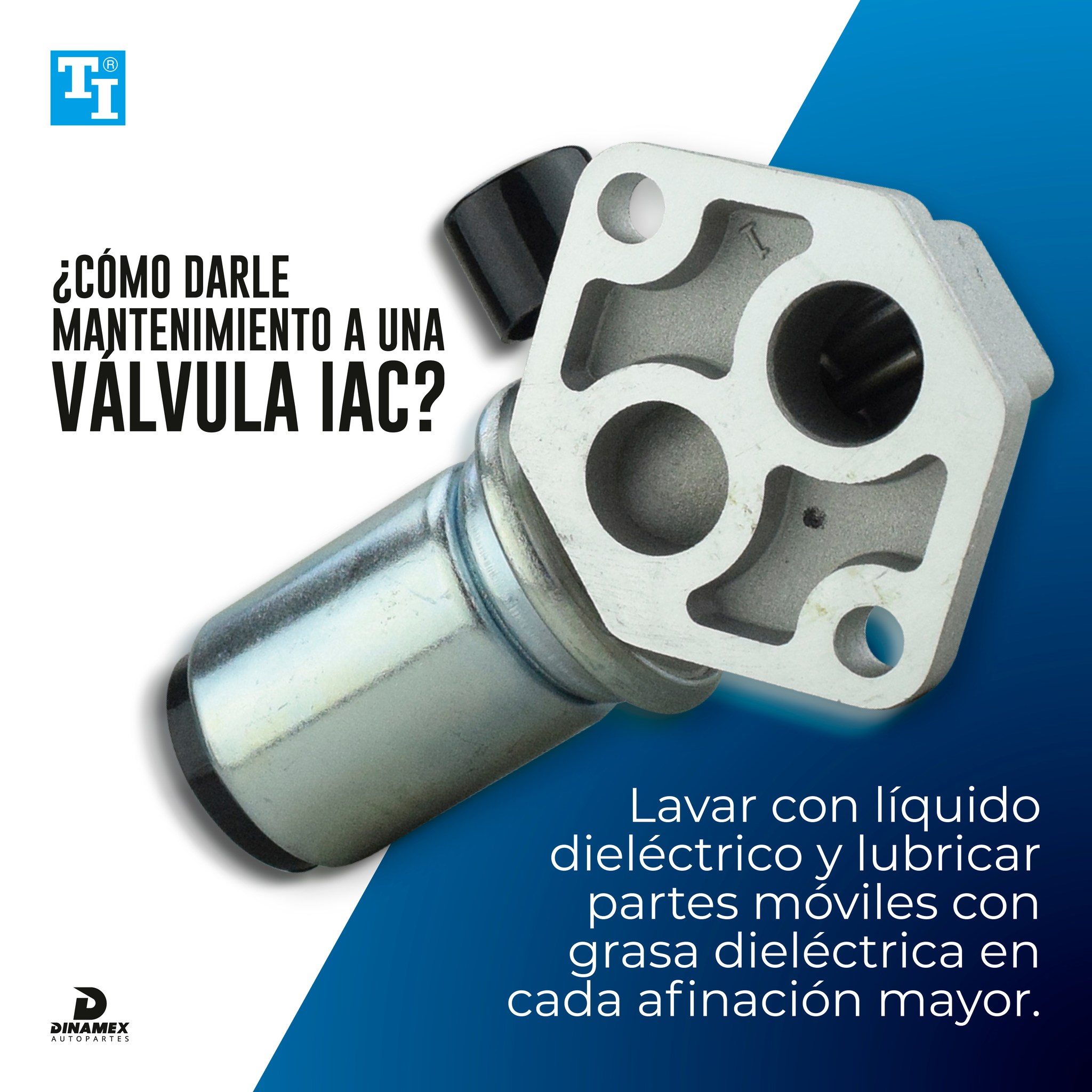 Taller Image 2