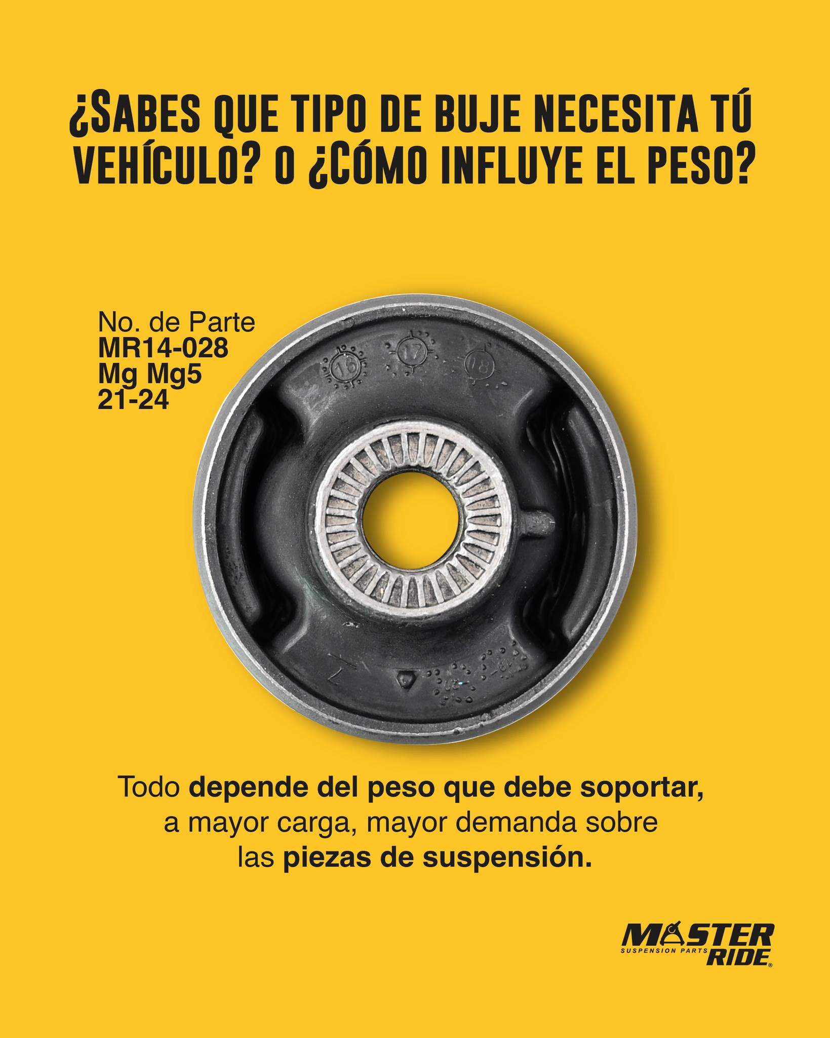 Taller Image 3