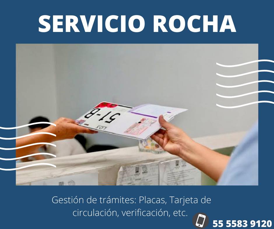 Taller Image 4