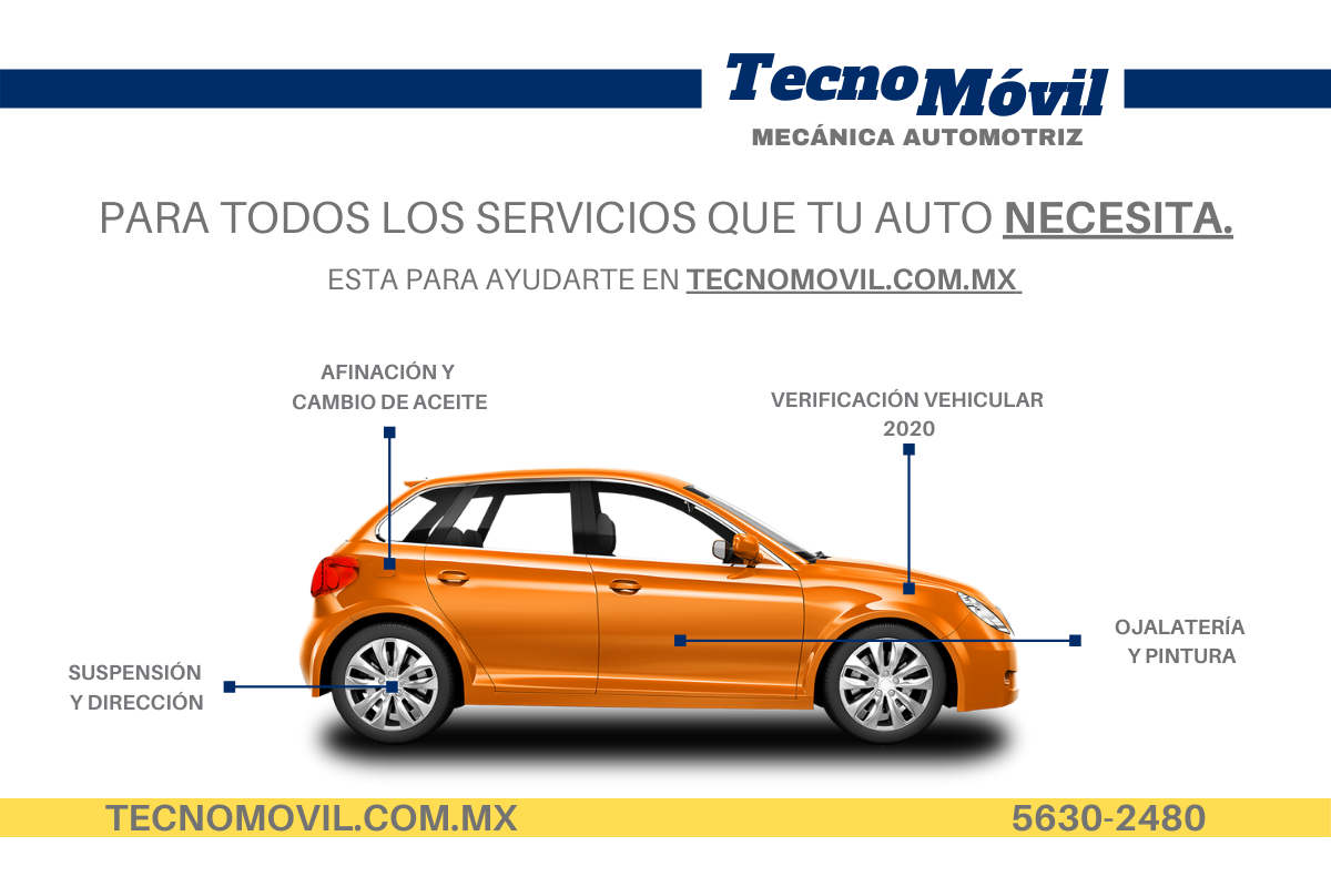 Taller Image 2