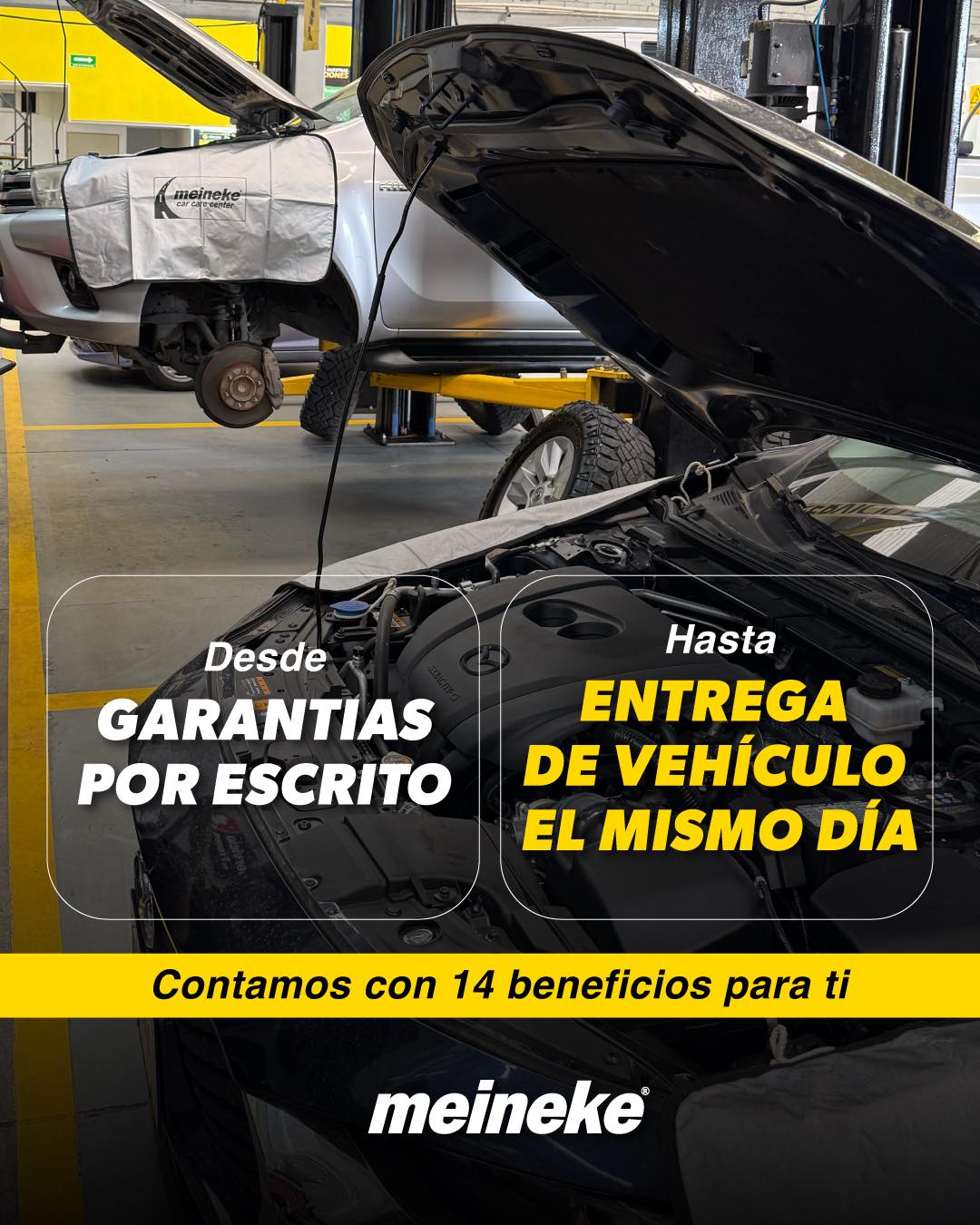 Taller Image 3
