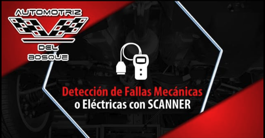 Taller Image 3