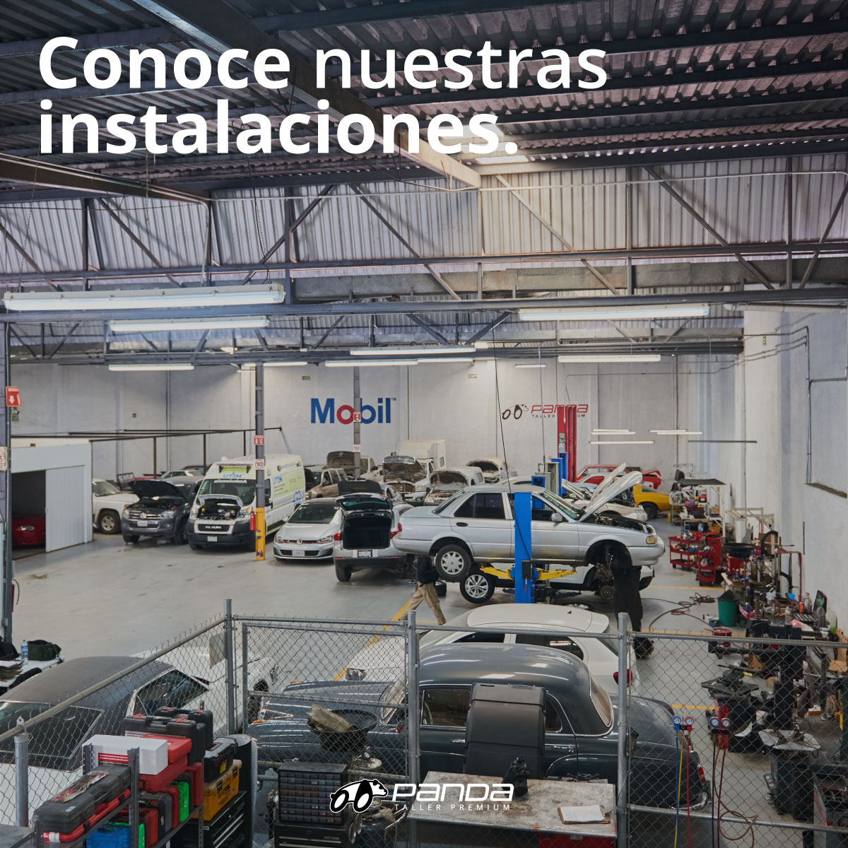 Taller Image 2