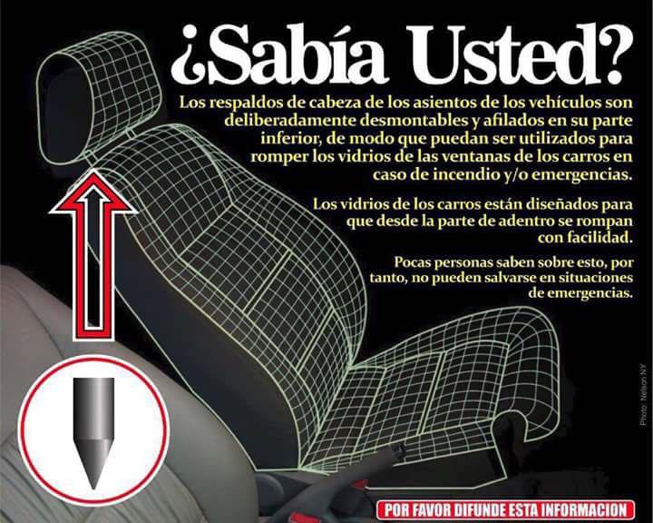 Taller Image 4