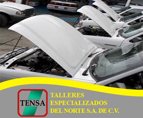 Taller Image 5