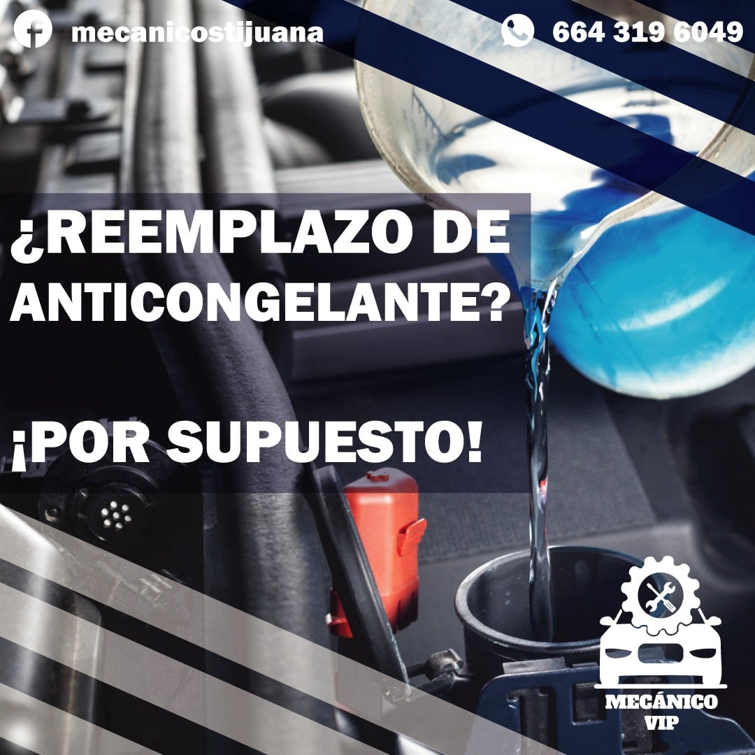 Taller Image 4
