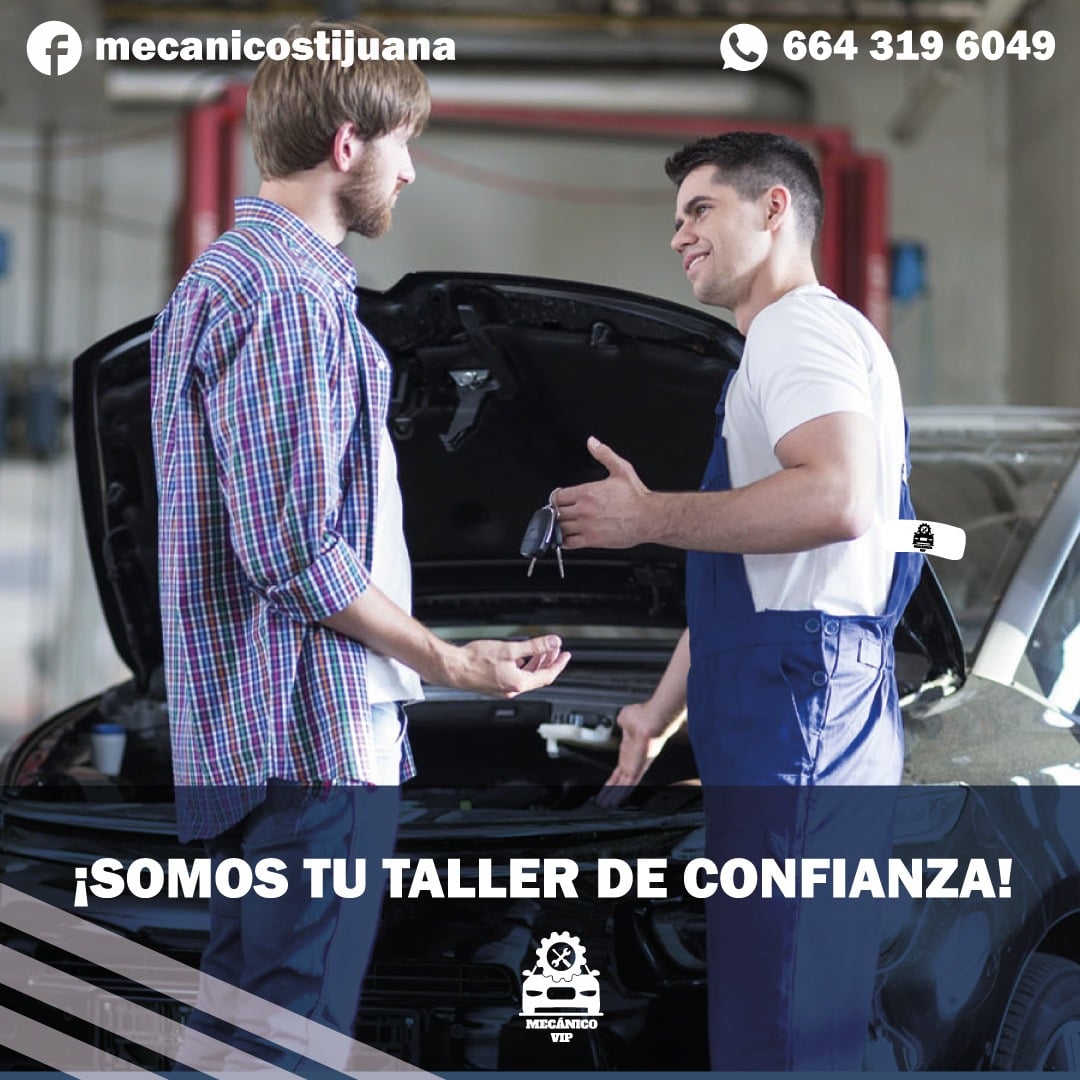 Taller Image 1