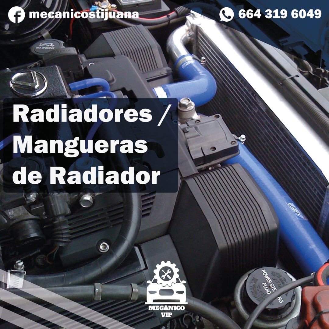 Taller Image 3