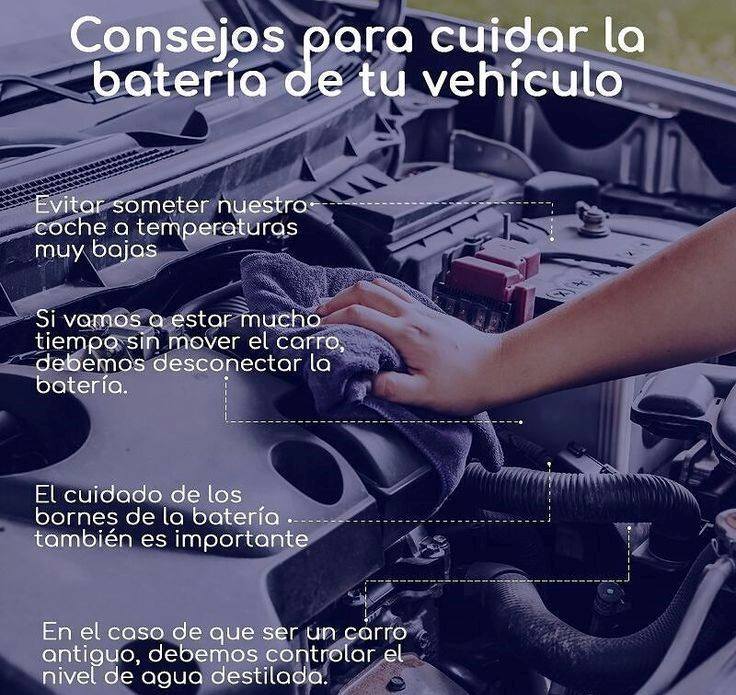 Taller Image 2