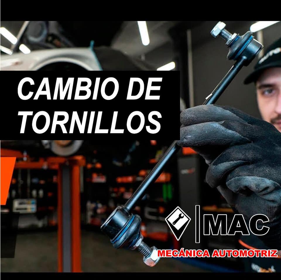 Taller Image 3