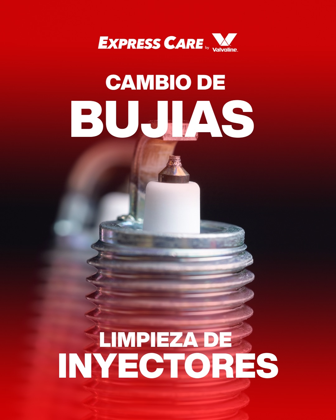 Taller Image 4