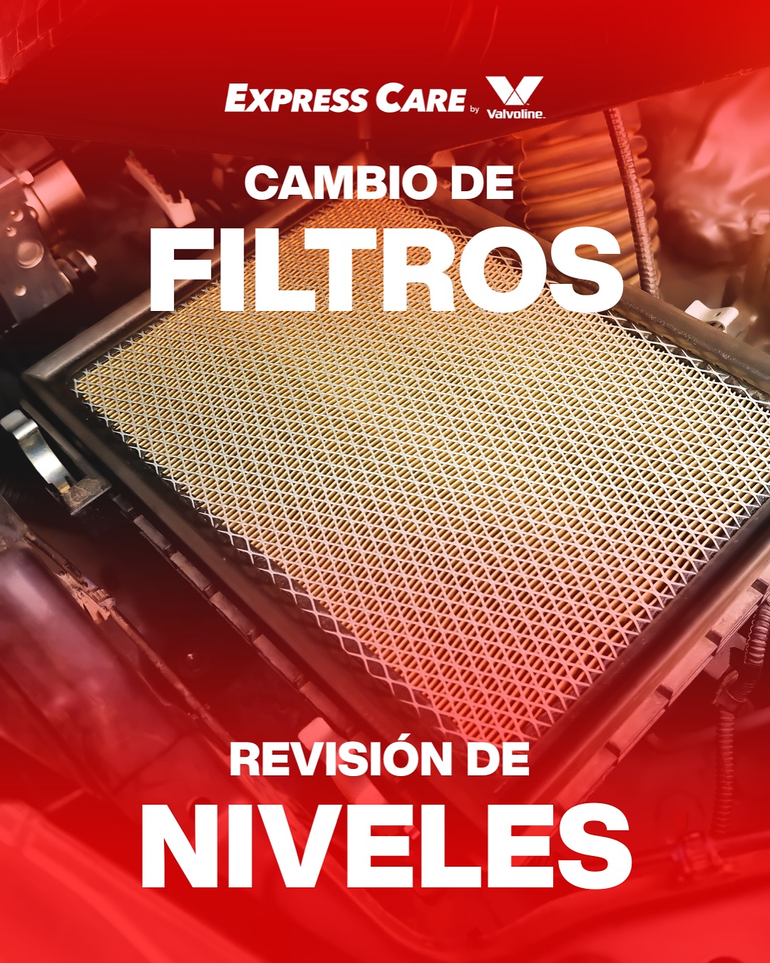 Taller Image 5