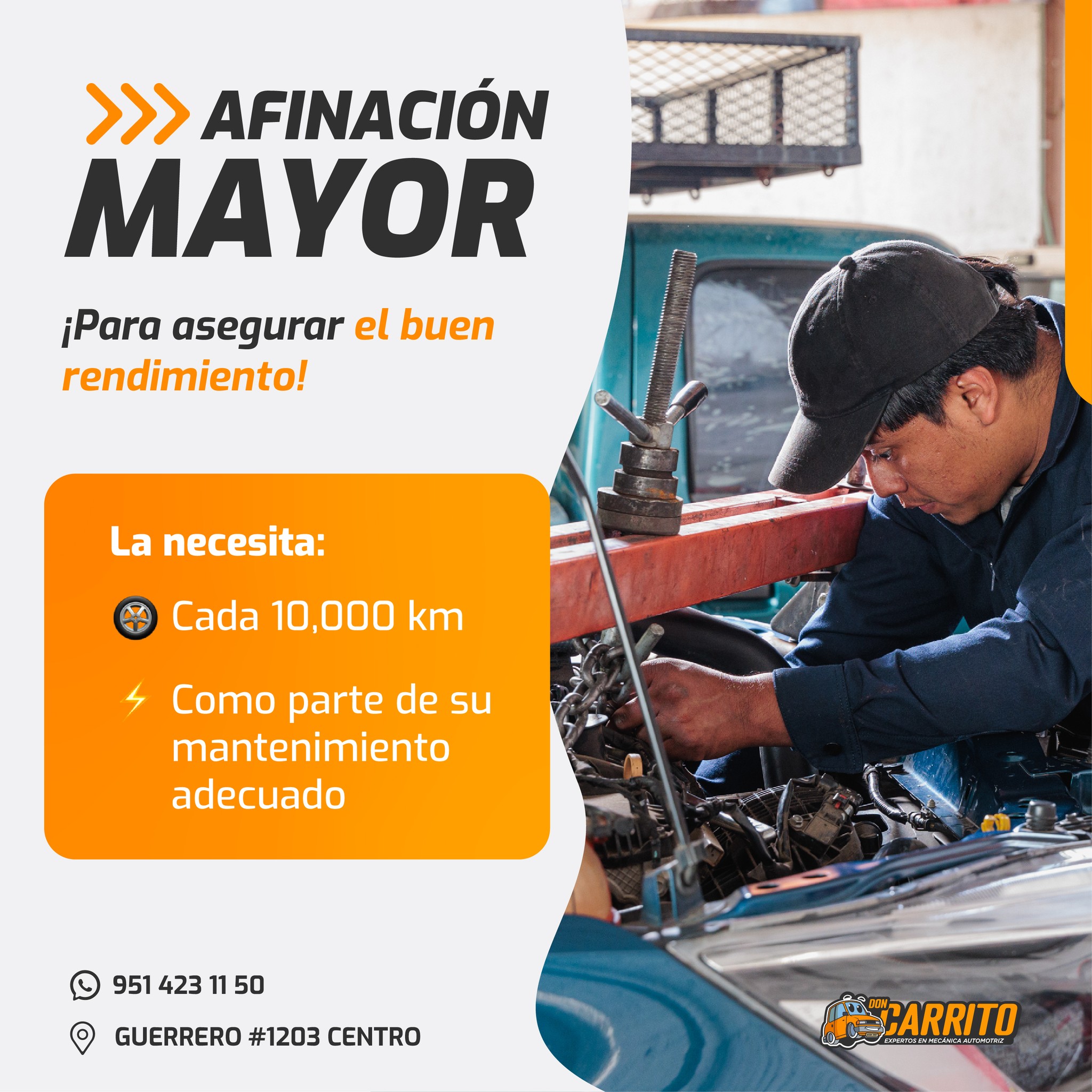Taller Image 1