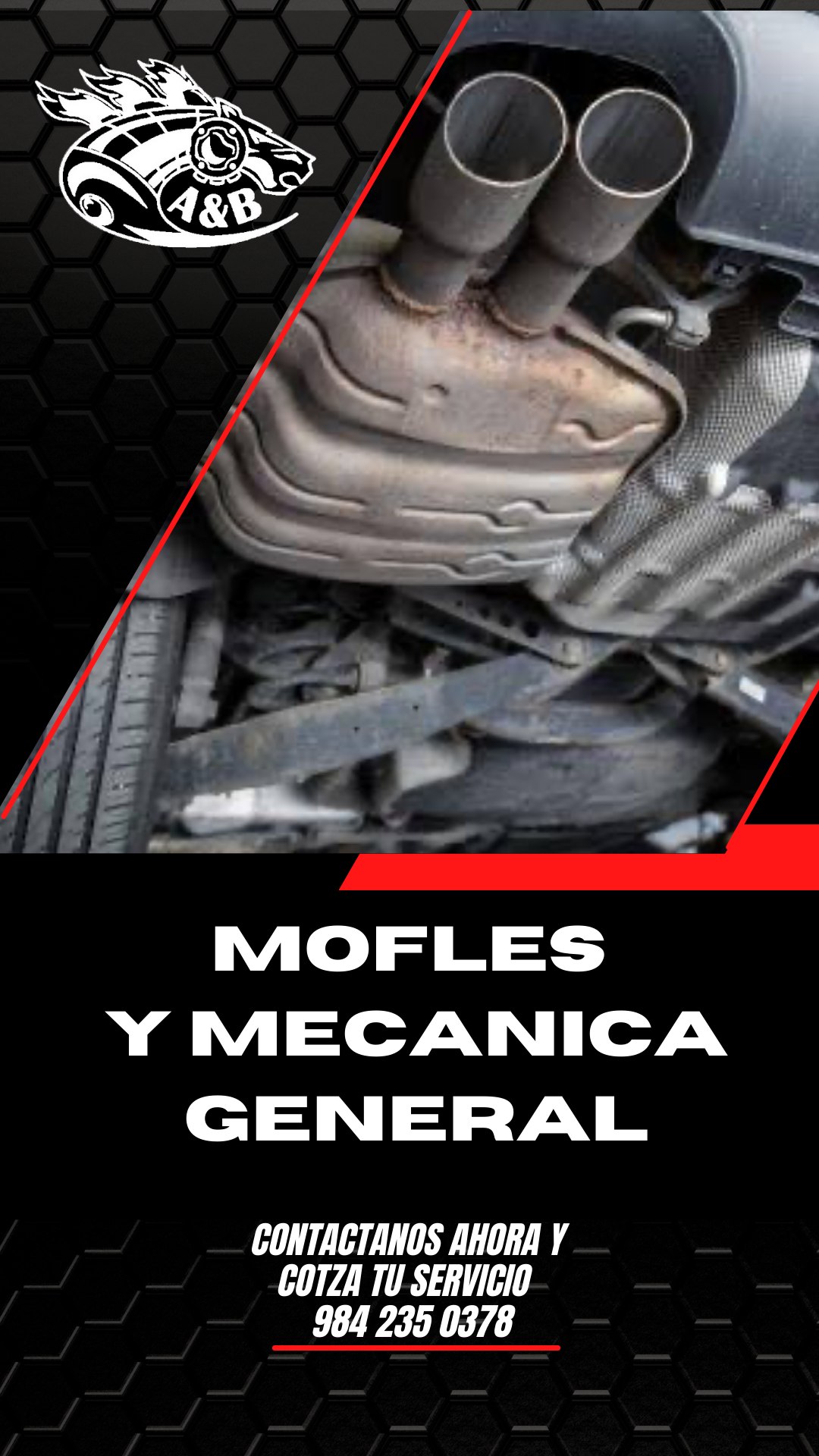 Taller Image 1