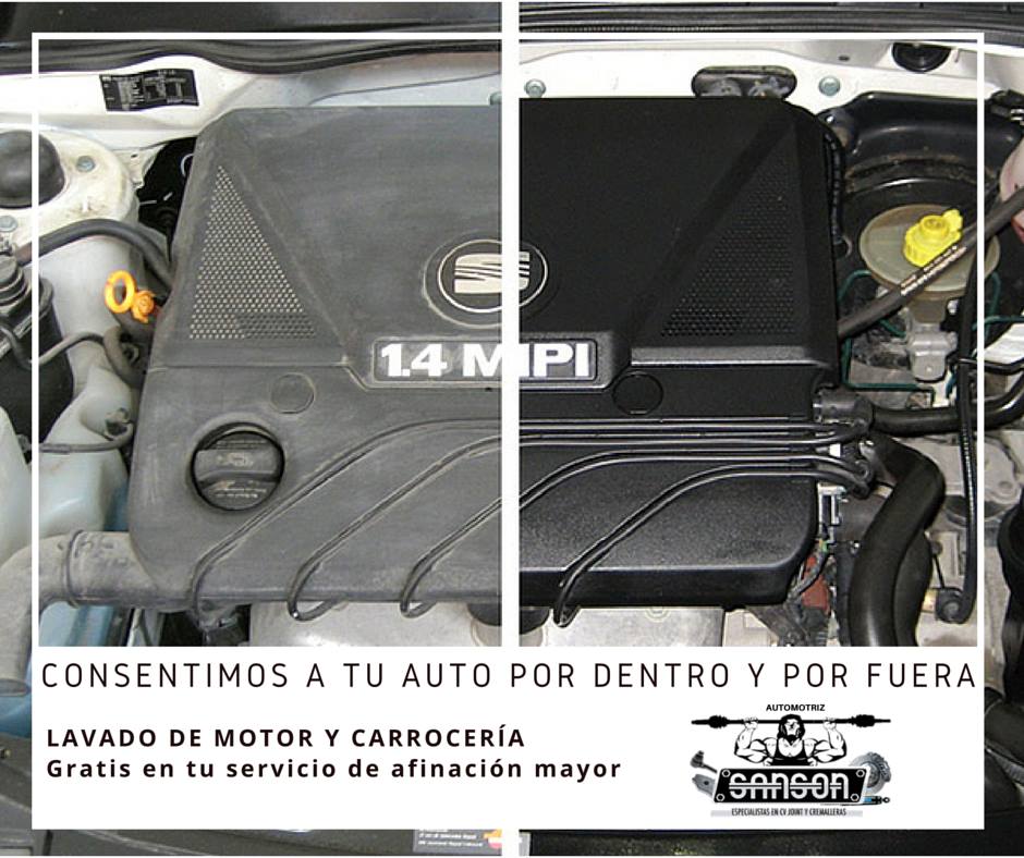 Taller Image 2