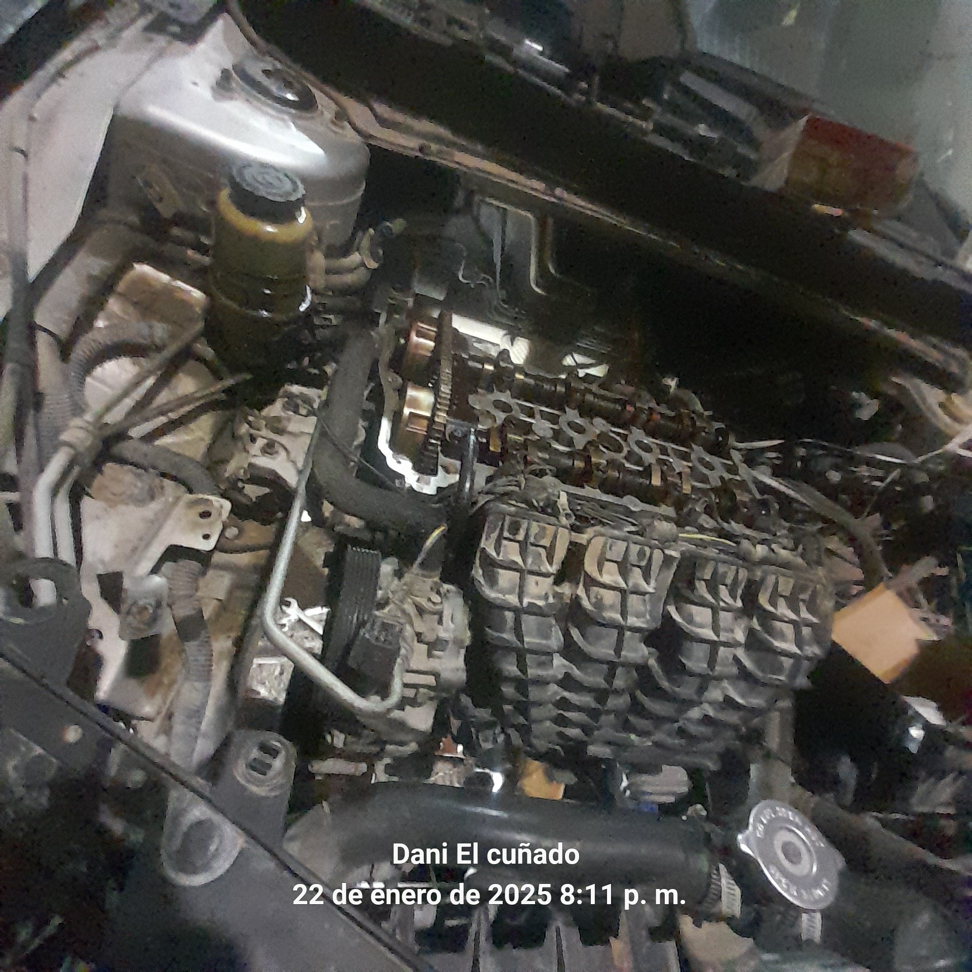Taller Image 4