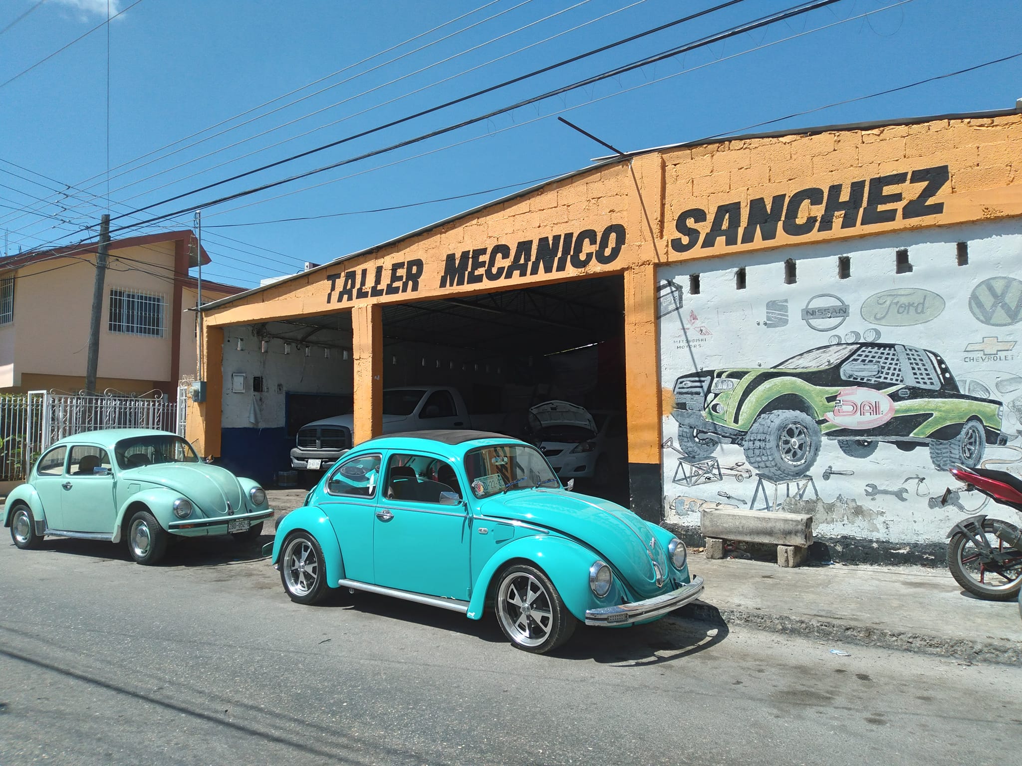 Taller Image 1