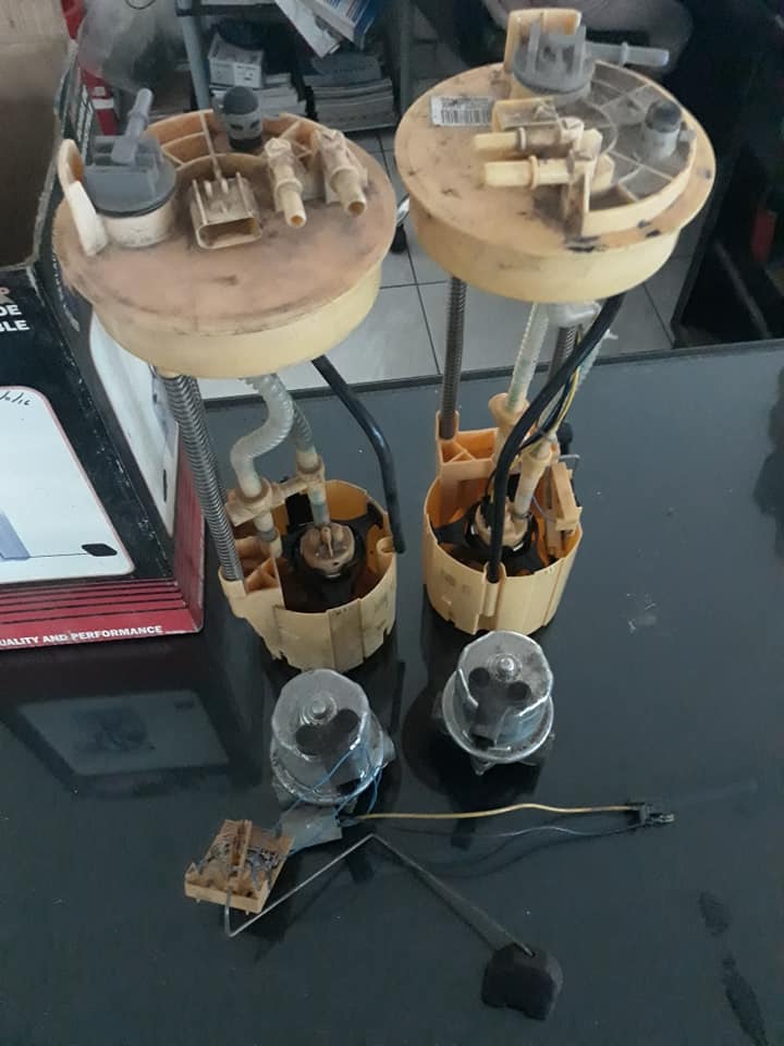 Taller Image 6
