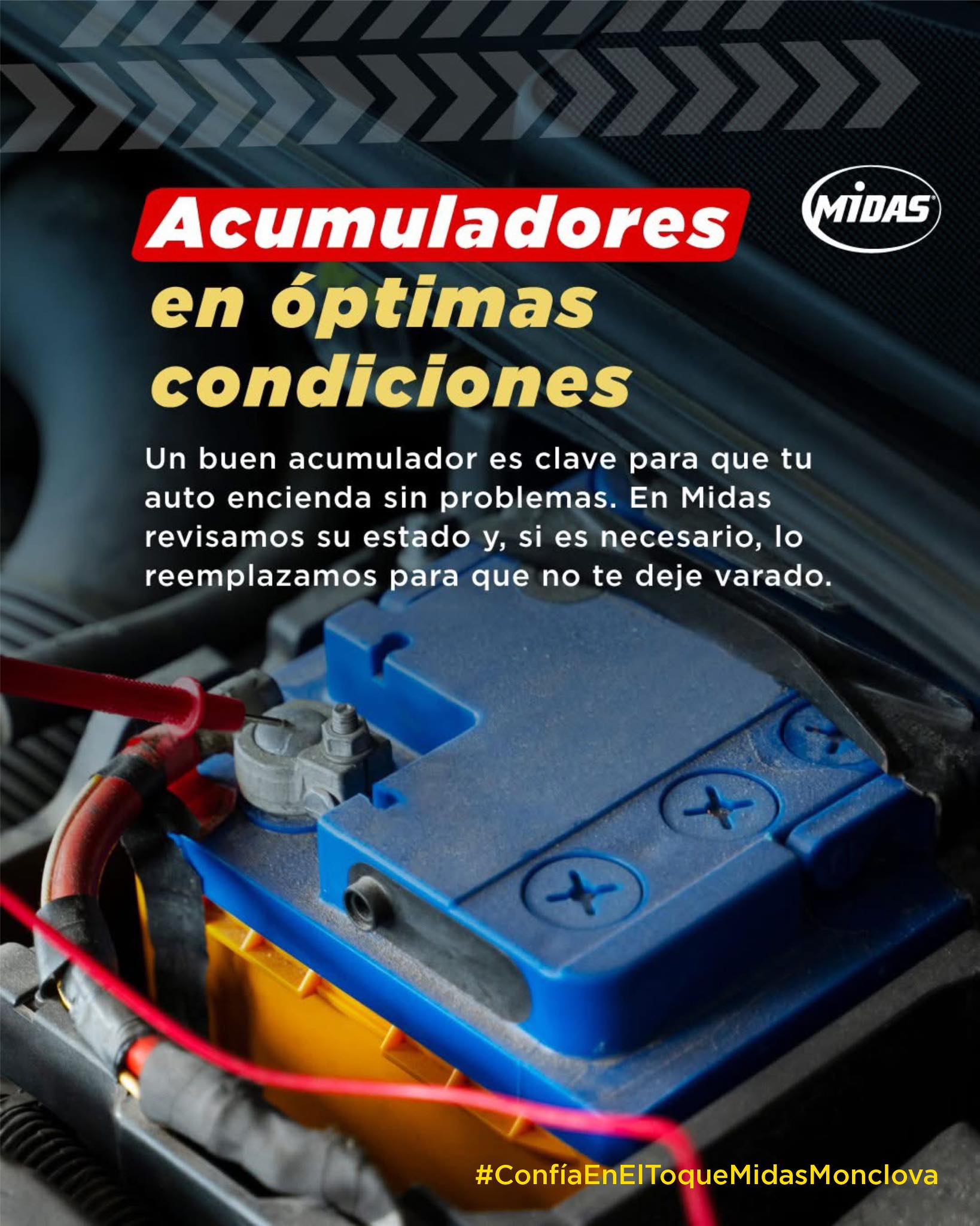 Taller Image 3