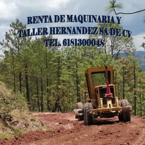 Taller Image 1