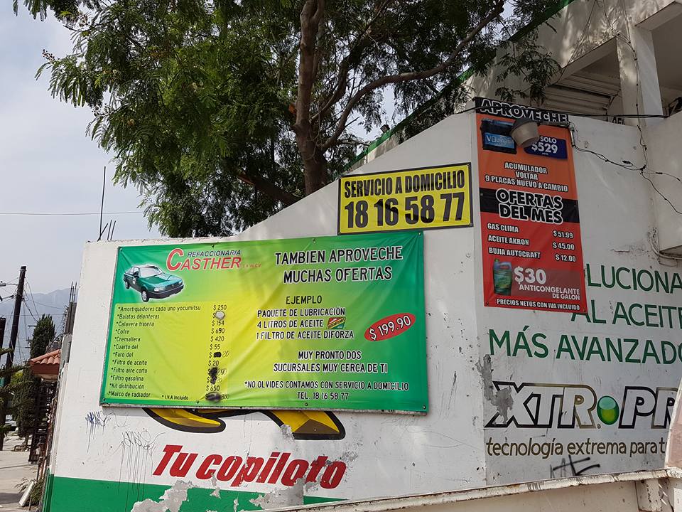 Taller Image 6