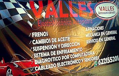 Taller Image 3