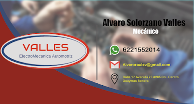 Taller Image 4