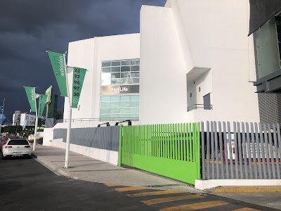 Taller Image 5